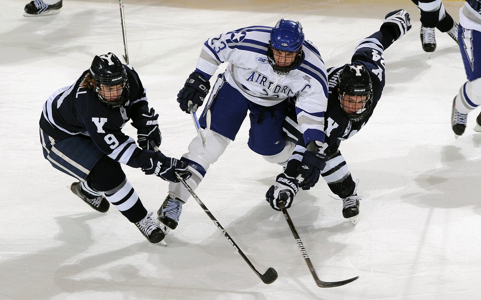 体育新闻中心发布体育创作者激励扶持政策,体育产业领军人物